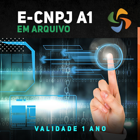 e-CNPJ A1 