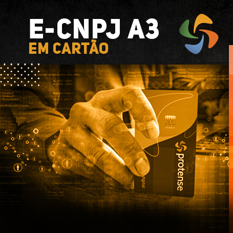 e-CNPJ A3 EM CARTÃO INTELIGENTE (VALIDADE DE 01 ANO)