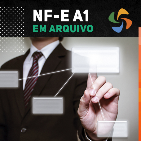 NFE A1 (1 ANO) VIDEOCONFERÊNCIA